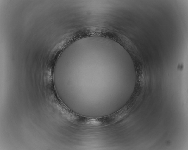 X0000111030610200907091546