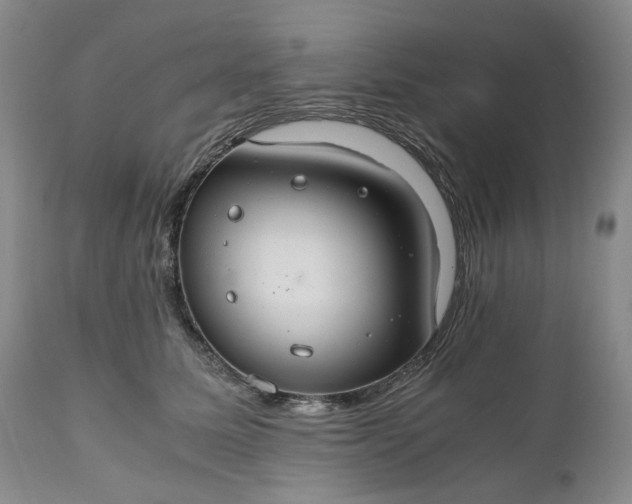 X0000111030611200907091546