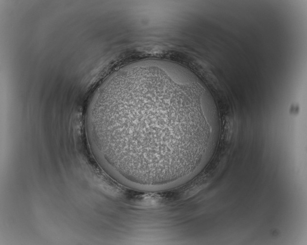 X0000111030612200907091546