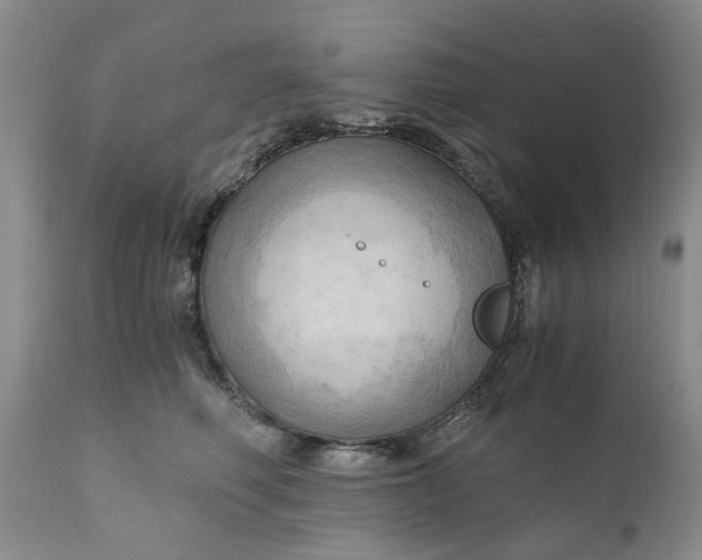 X0000111030614200907091546