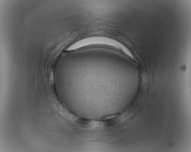 X0000111030617200907091546