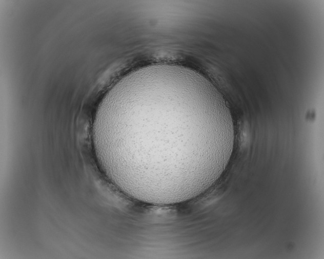 X0000111030619200907091546