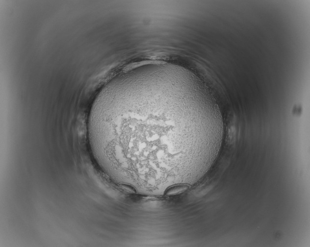 X0000111030620200907091546