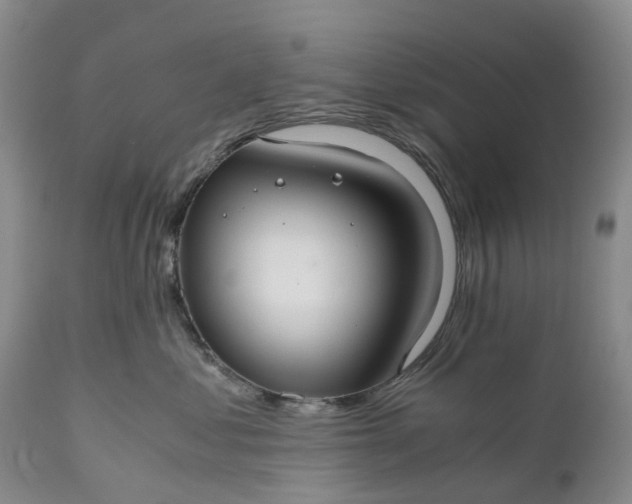 X0000111030621200907091546