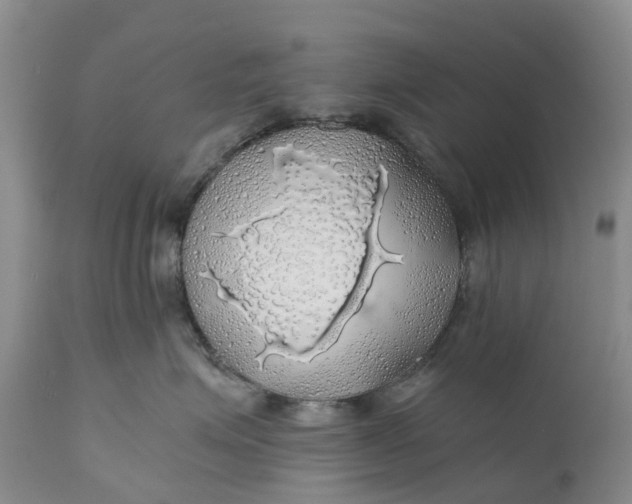 X0000111030623200907091546