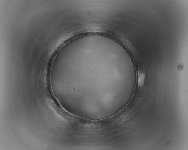 X0000111030627200907091546