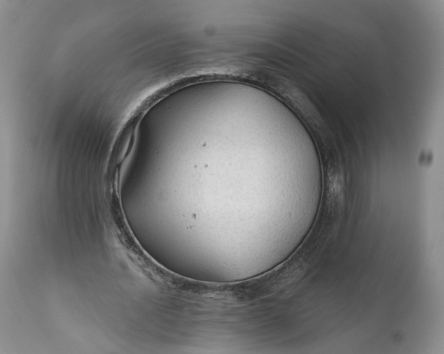 X0000111030628200907091546