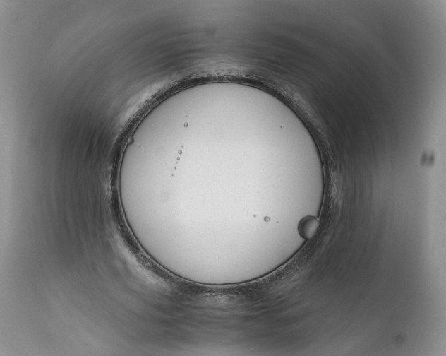 X0000111030629200907091546