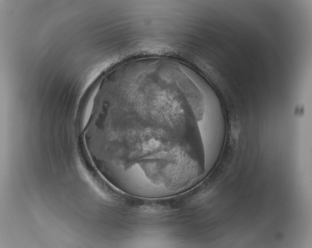 X0000111030630200907091546