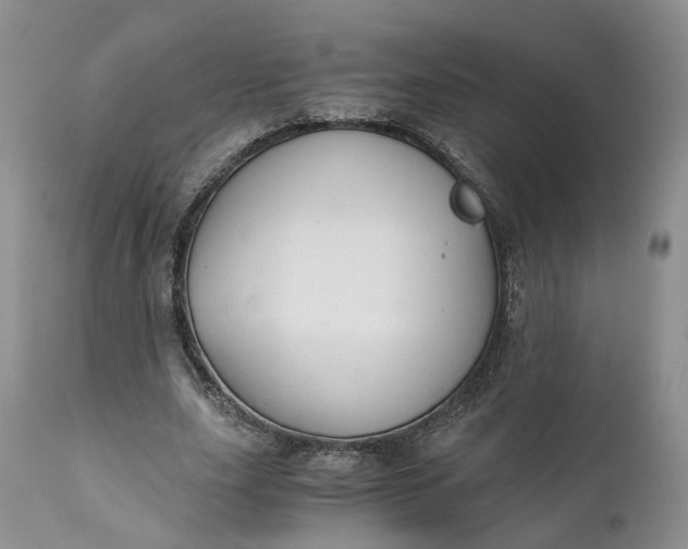 X0000111030631200907091546