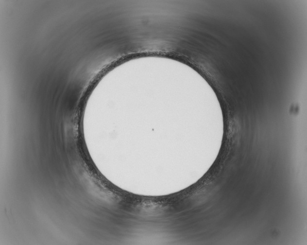 X0000111030632200907091546
