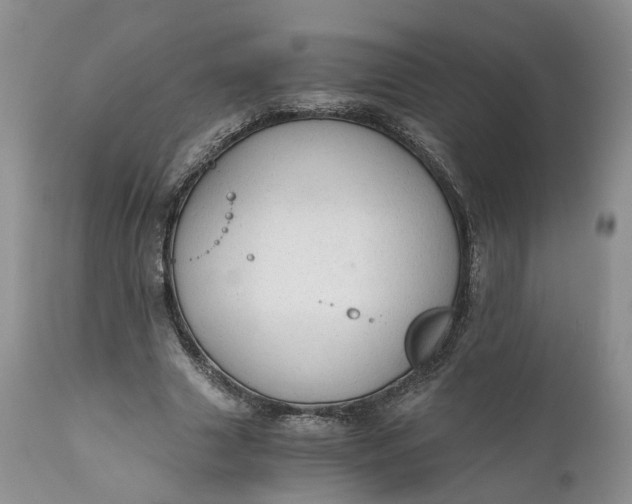 X0000111030633200907091546