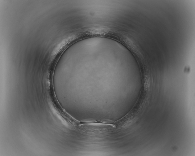X0000111030634200907091546