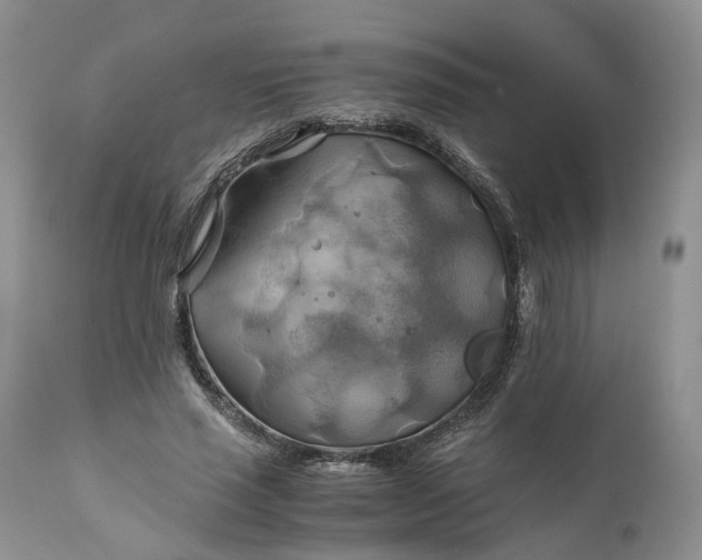 X0000111030637200907091546