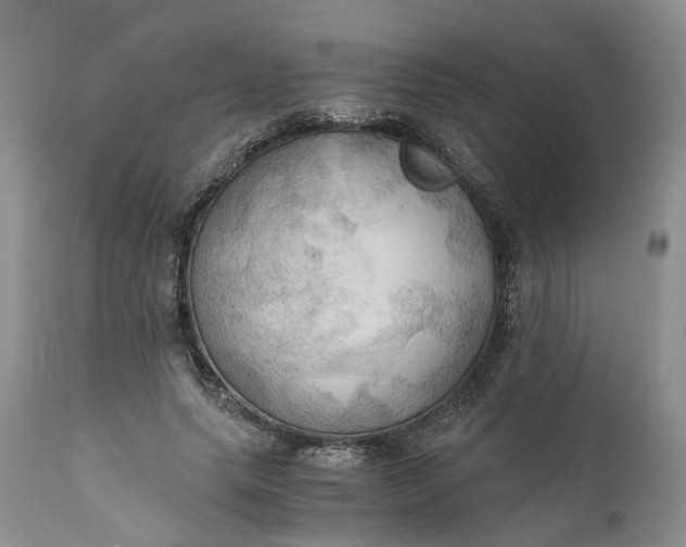 X0000111030639200907091546