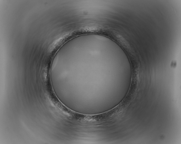 X0000111030640200907091546