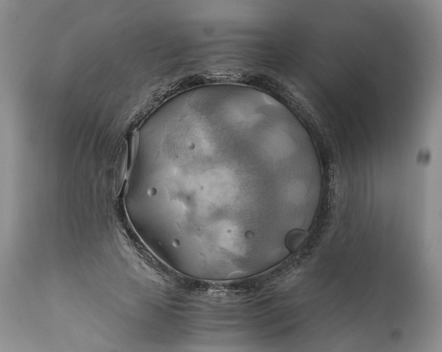 X0000111030641200907091546