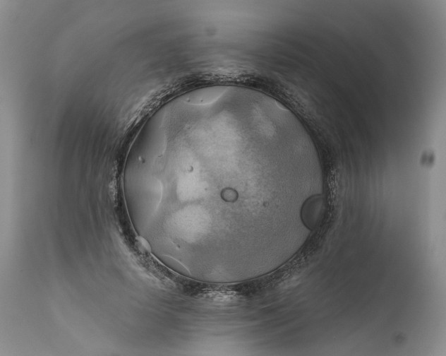 X0000111030642200907091546