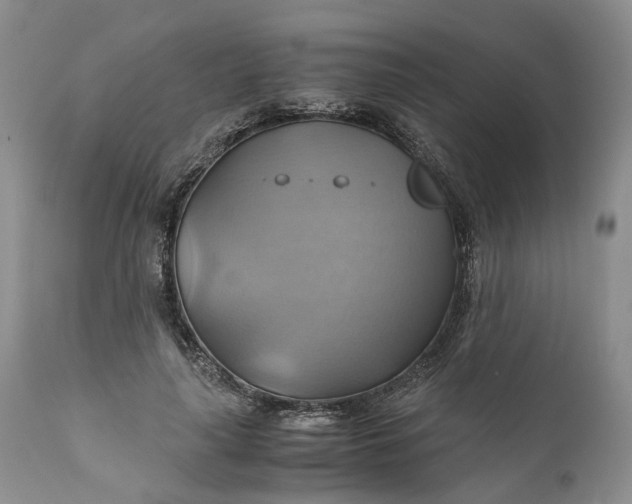 X0000111030643200907091546
