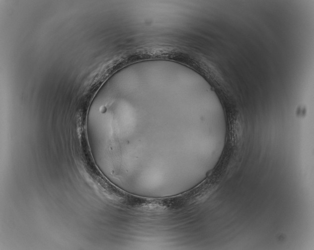 X0000111030644200907091546