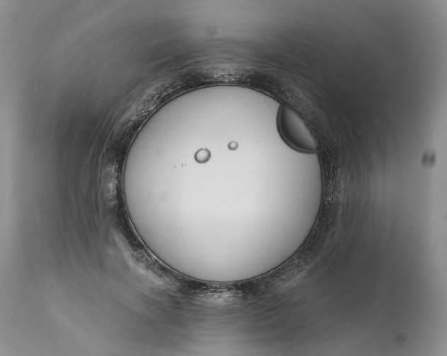 X0000111030646200907091546