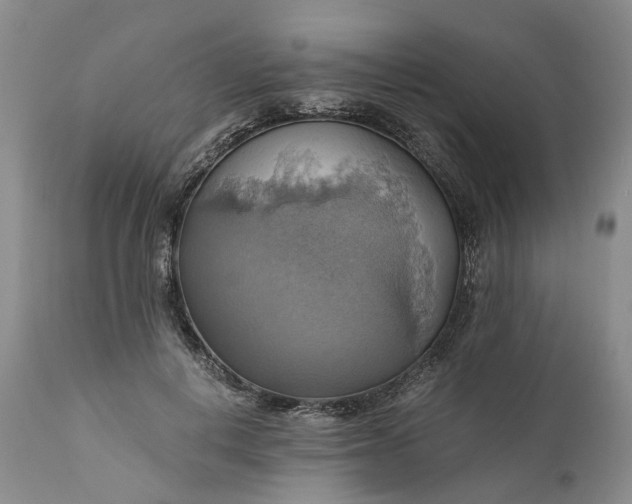 X0000111030648200907091546