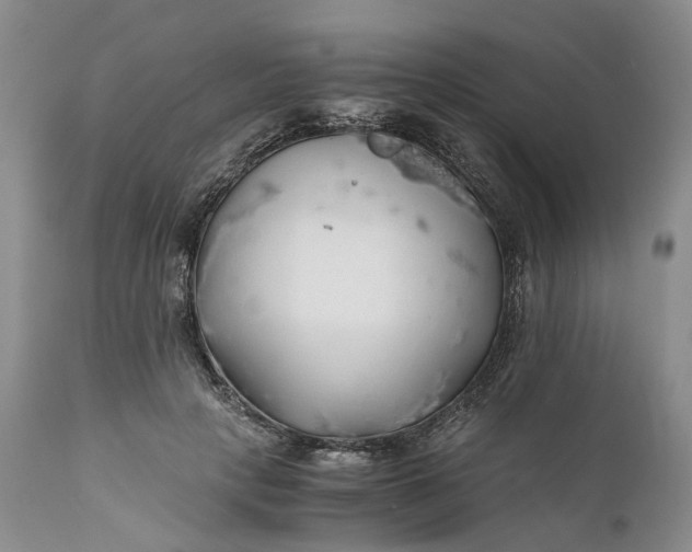 X0000111030649200907091546