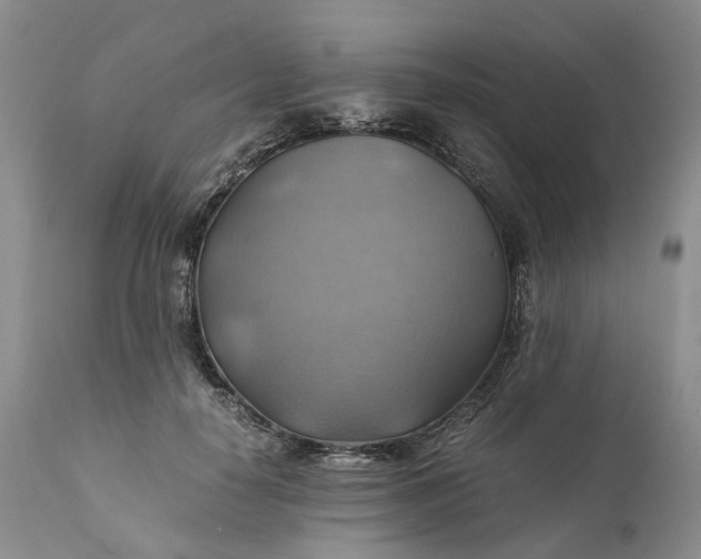 X0000111030650200907091546