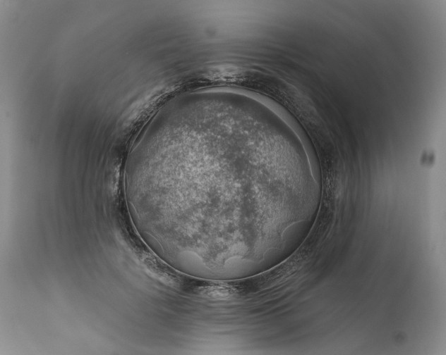 X0000111030652200907091546