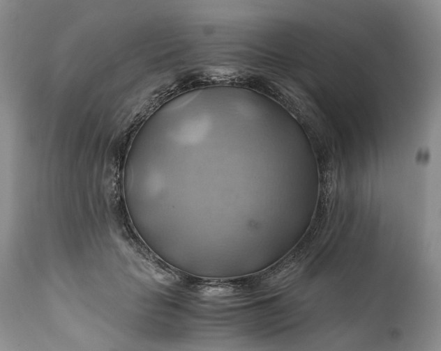 X0000111030653200907091546