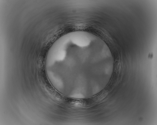 X0000111030655200907091546