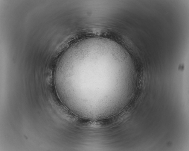 X0000111030656200907091546
