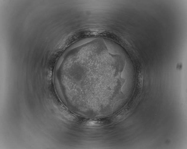 X0000111030657200907091546