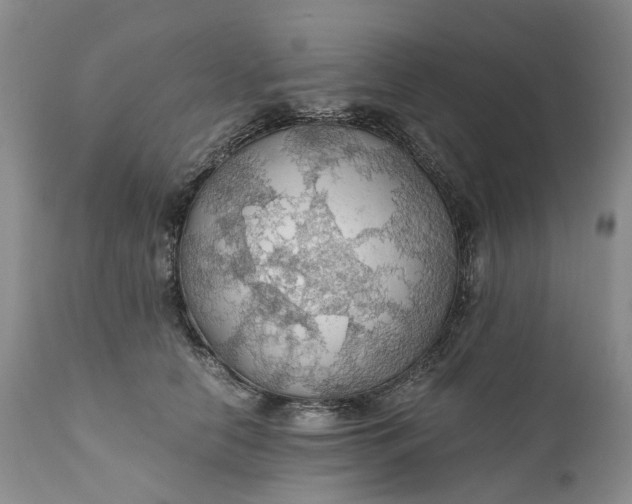 X0000111030658200907091546