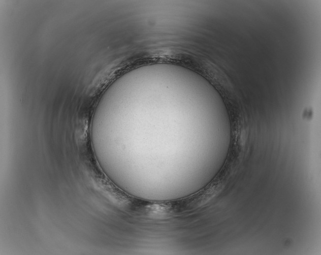 X0000111030660200907091546