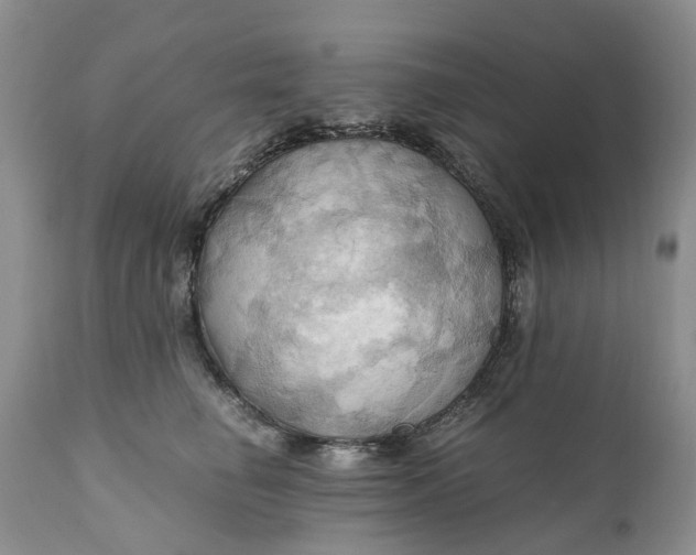 X0000111030662200907091546