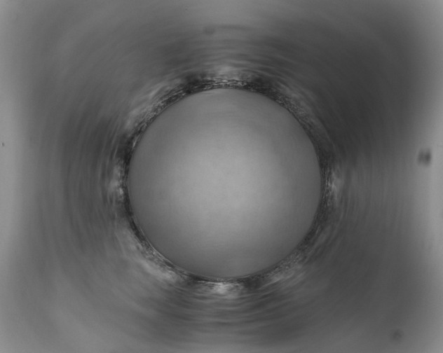 X0000111030663200907091546