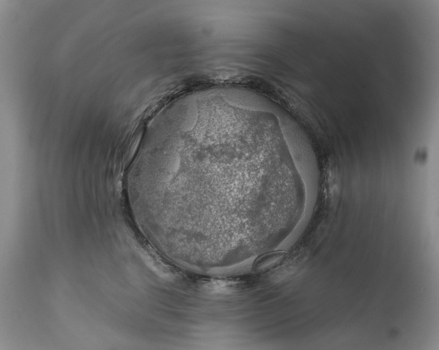 X0000111030664200907091546