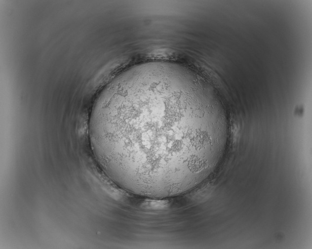 X0000111030665200907091546