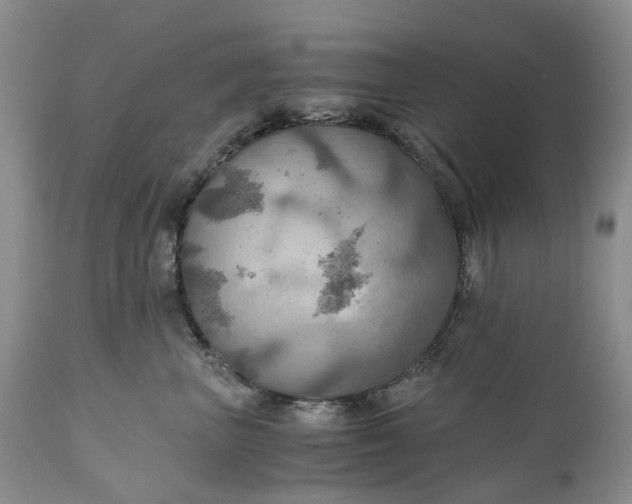 X0000111030667200907091546