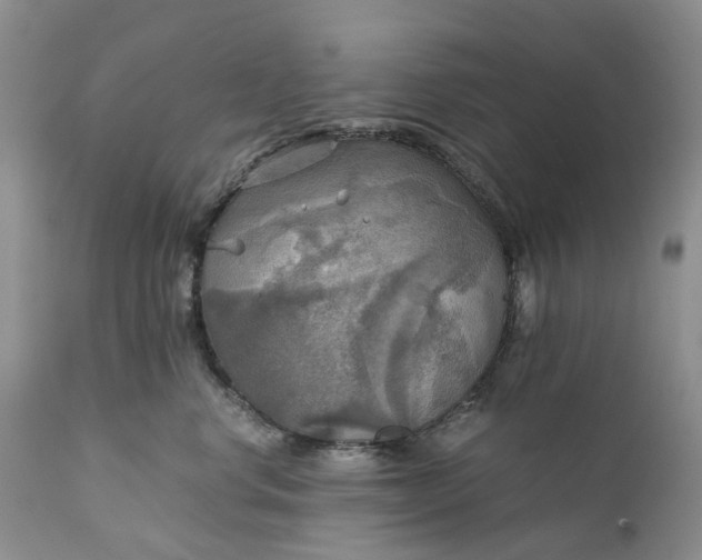 X0000111030668200907091546