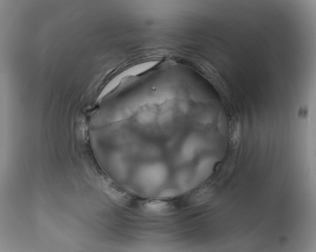 X0000111030669200907091546