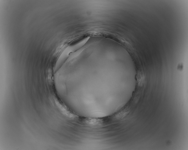X0000111030670200907091546