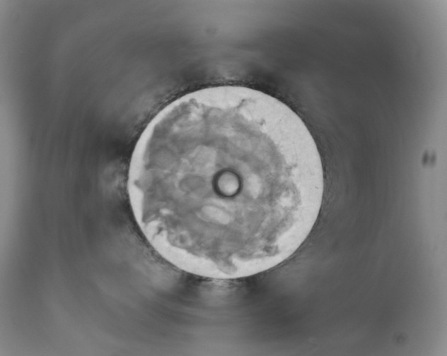 X0000111030672200907091546