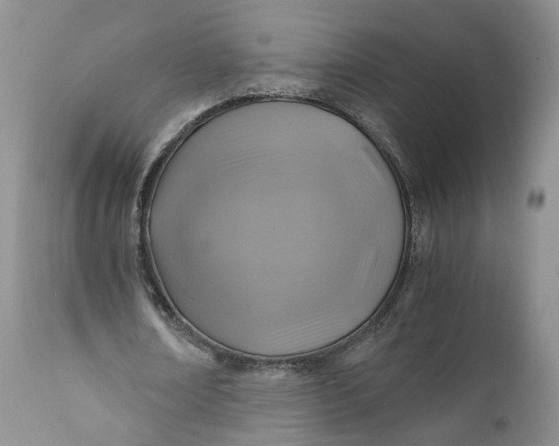 X0000111030674200907091546