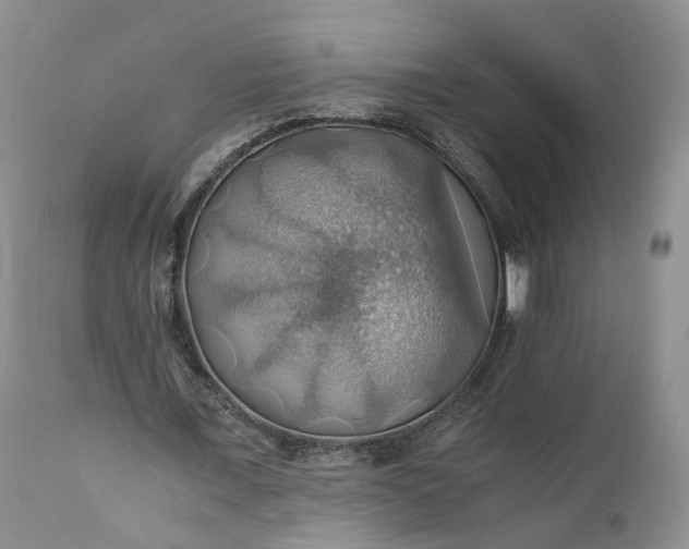 X0000111030675200907091545