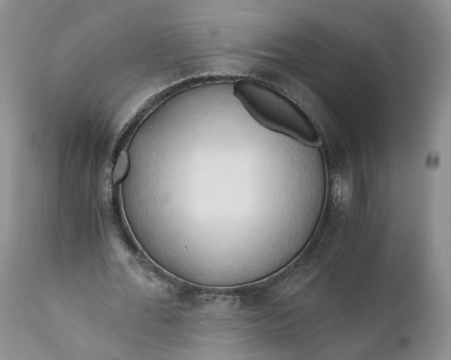 X0000111030676200907091545