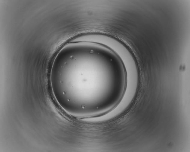 X0000111030677200907091545
