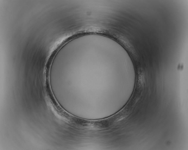 X0000111030678200907091545