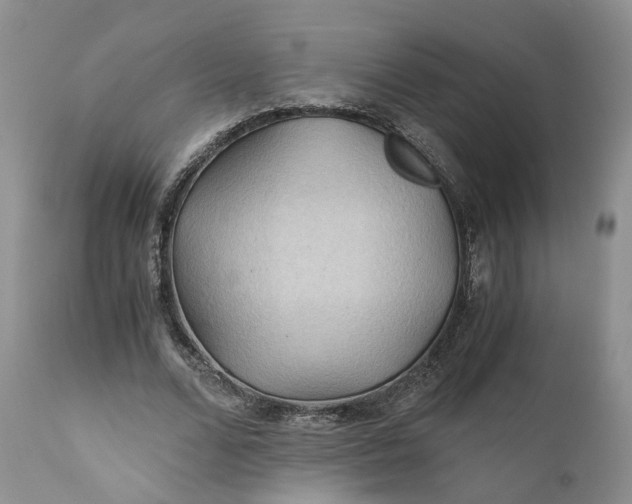 X0000111030680200907091545